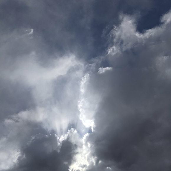 Meet your Posher, Monica - Picture 11 of 12